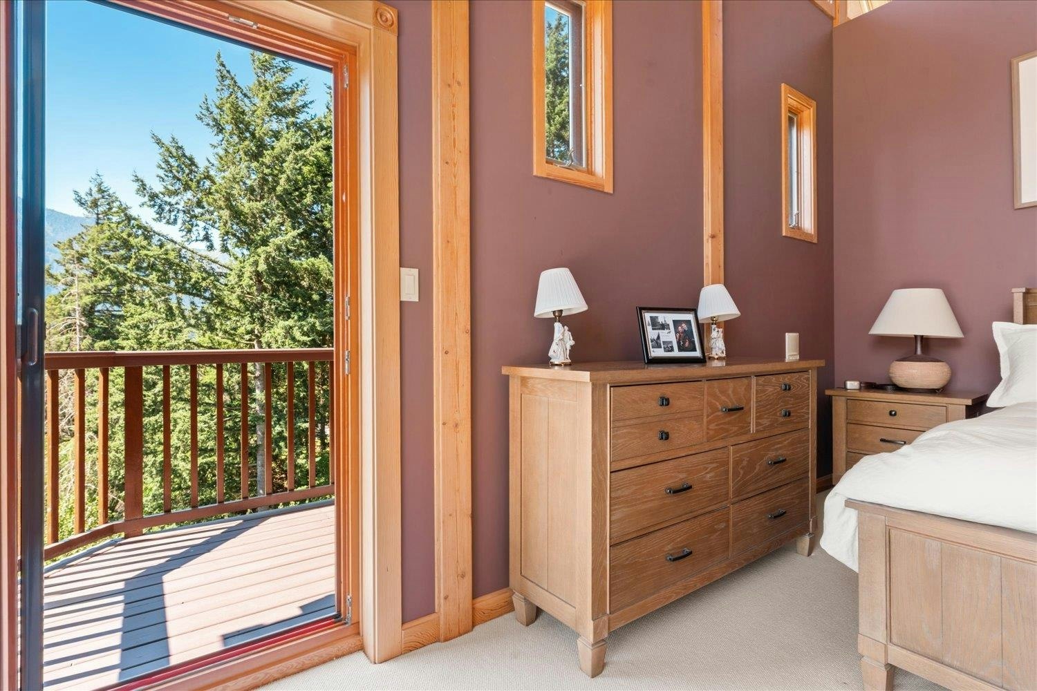 21377 Thacker Mtn Road, Hope, BC, V0X 1L1 - 25