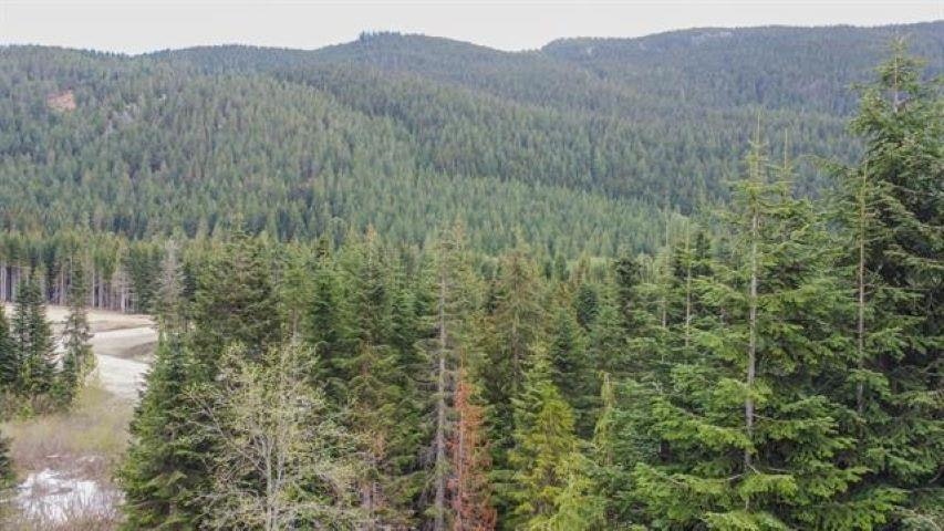20488 Edelweiss Drive, Mission, BC, V0M 1A1 - 10