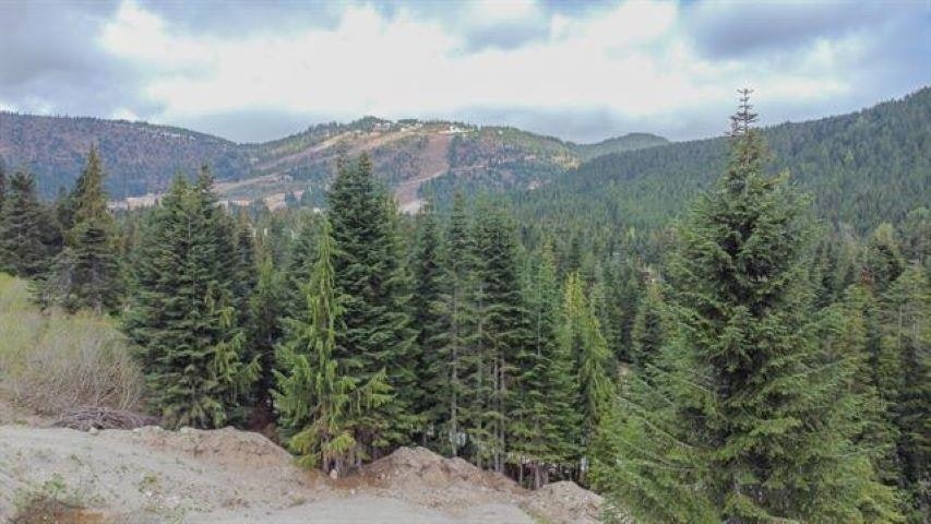 20488 Edelweiss Drive, Mission, BC, V0M 1A1 - 8