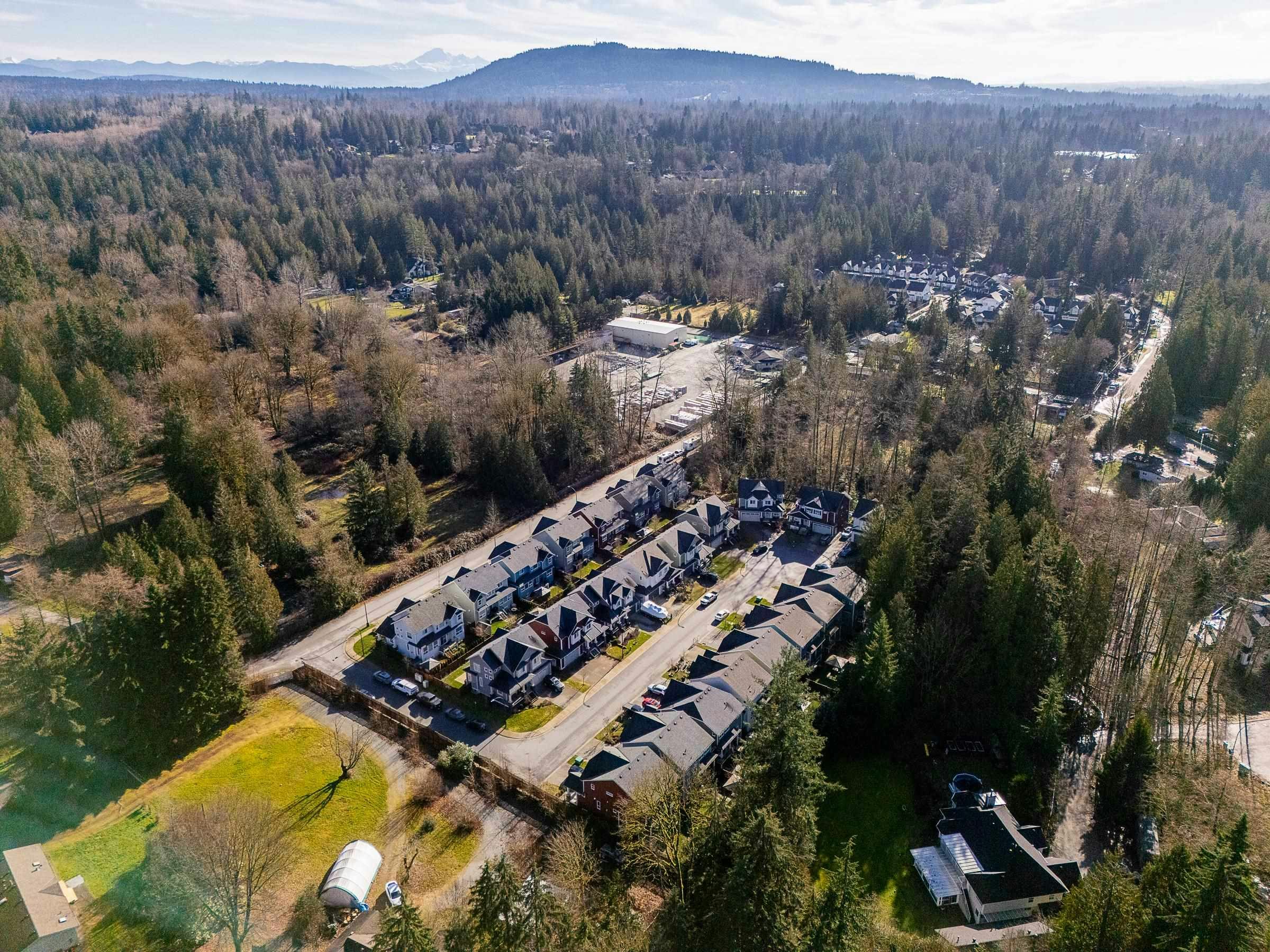 12924 240a Street, Maple Ridge, BC, V4R 0G8 - 38