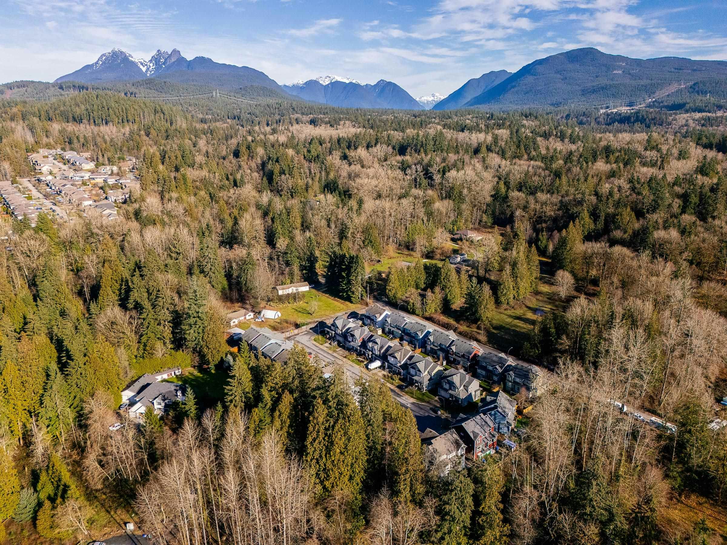 12924 240a Street, Maple Ridge, BC, V4R 0G8 - 39