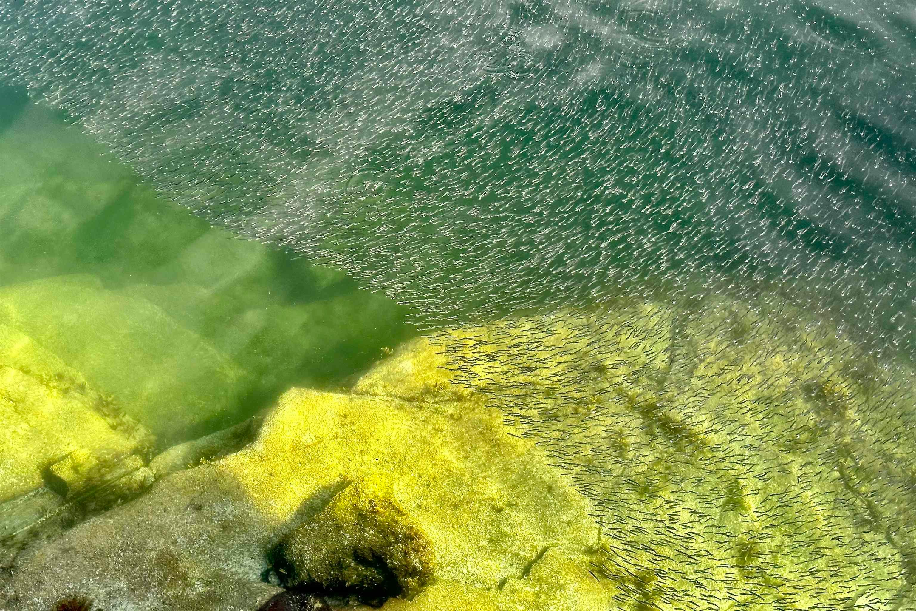 SL 5B Quarry Bay, Nelson Island, BC, V0N 0V0 - 37