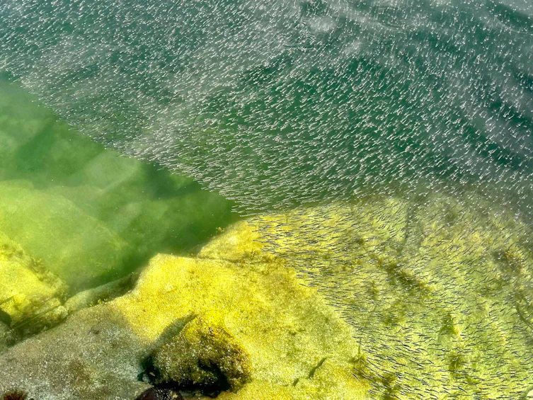 SL 5B Quarry Bay, Nelson Island, BC, V0N 0V0 - 37
