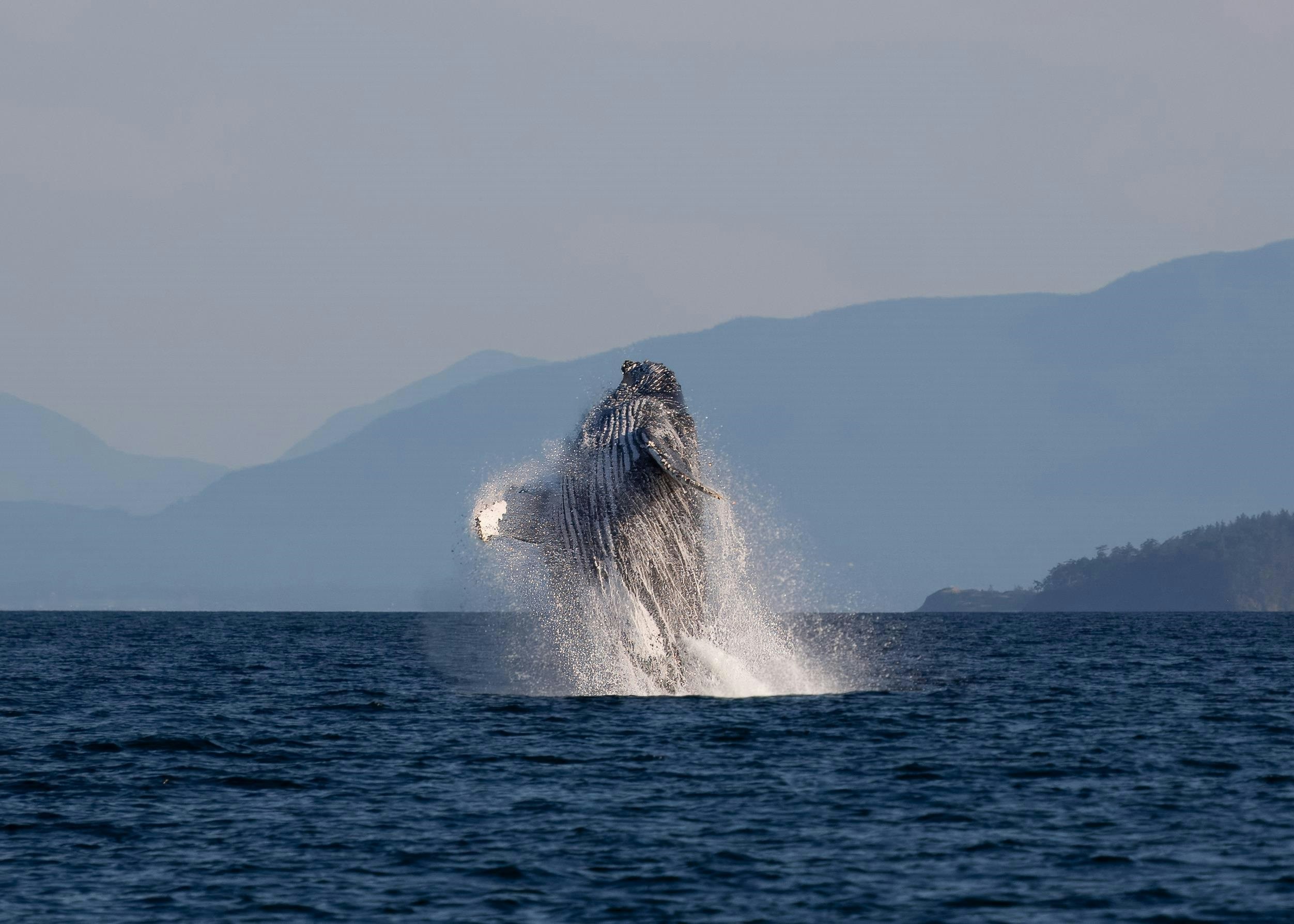 SL 5B Quarry Bay, Nelson Island, BC, V0N 0V0 - 19