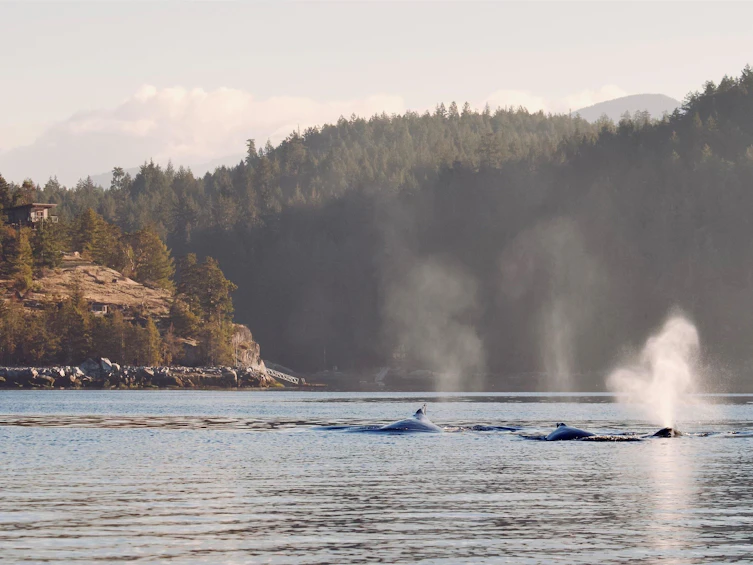 SL 5B Quarry Bay, Nelson Island, BC, V0N 0V0 - 35