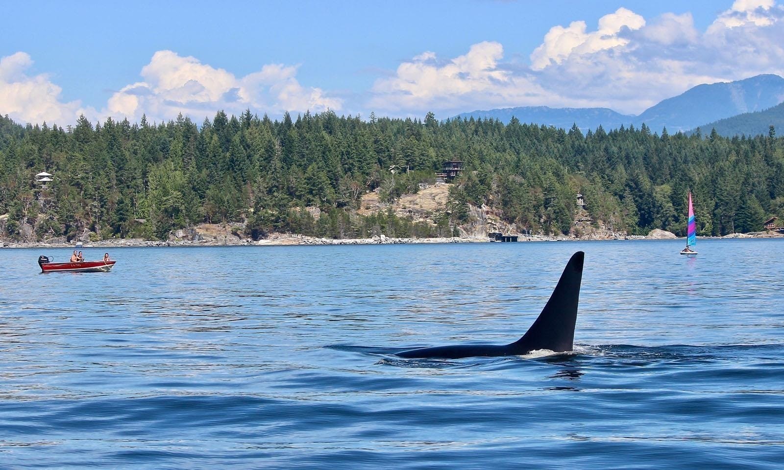 SL 5B Quarry Bay, Nelson Island, BC, V0N 0V0 - 34