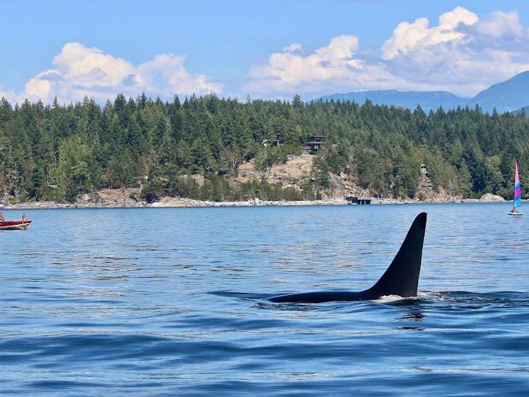 SL 5B Quarry Bay, Nelson Island, BC, V0N 0V0 - 34