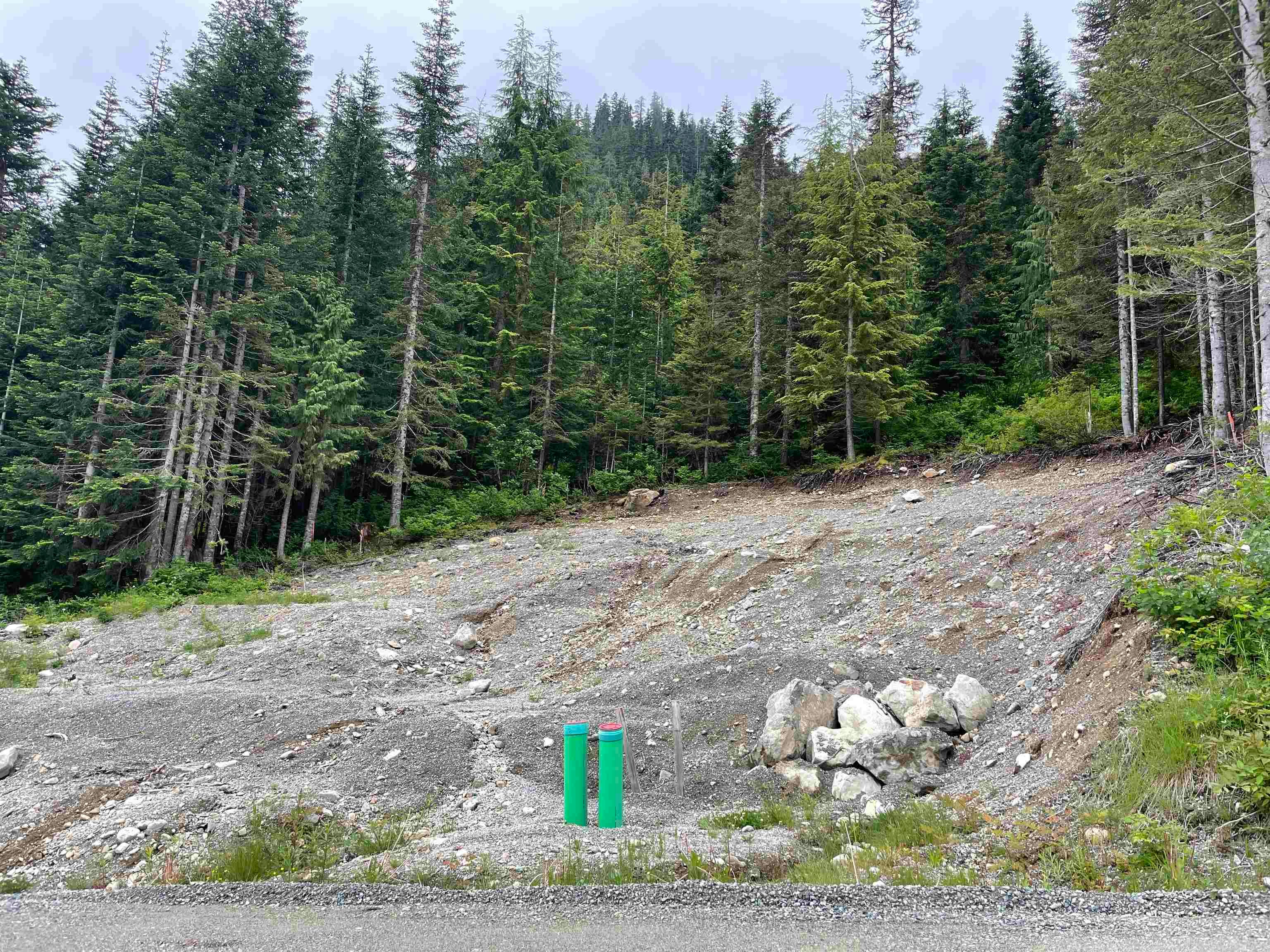 20689 Edelweiss Drive, Mission, BC, V0M 1A1 - 9