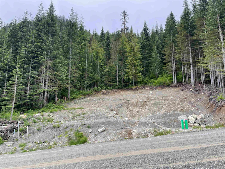 20689 Edelweiss Drive, Mission, BC, V0M 1A1 - 8