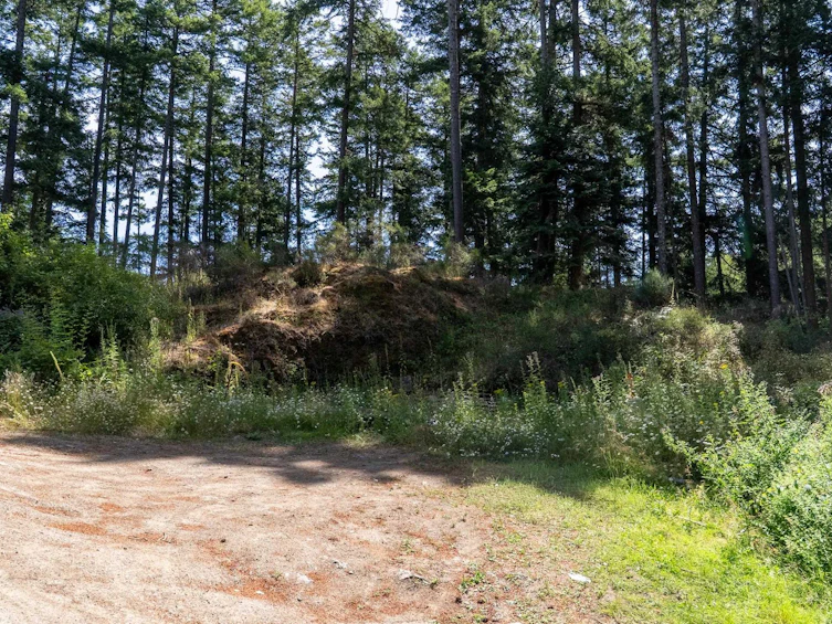 4622 Sailor Road, Pender Island, BC, V0N 2M0 - 7