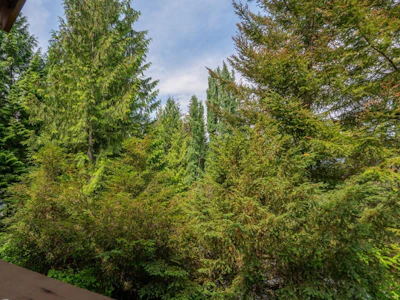 27-4894 Painted Cliff Road - 5