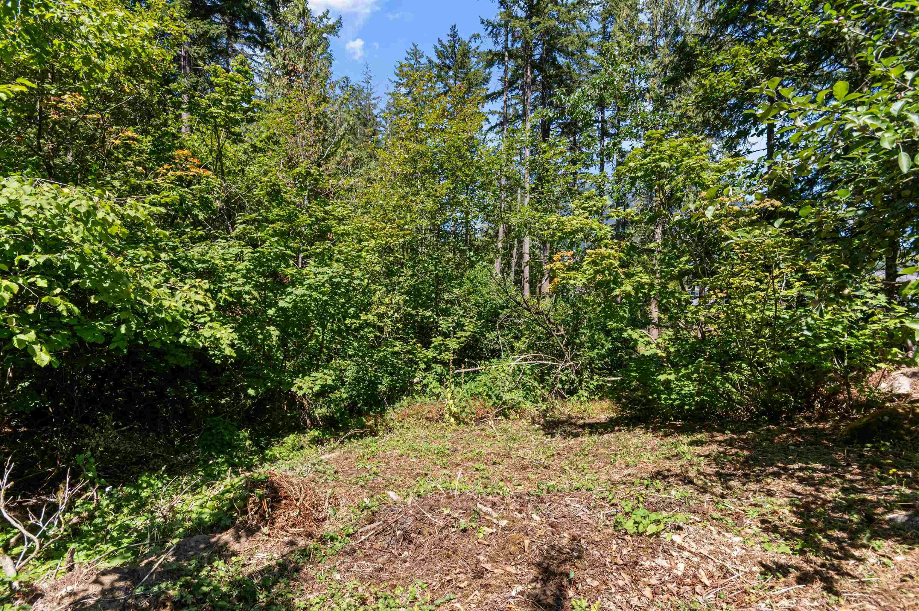 19899 Silverhope Road, Hope, BC, V0X 1L2 - 39