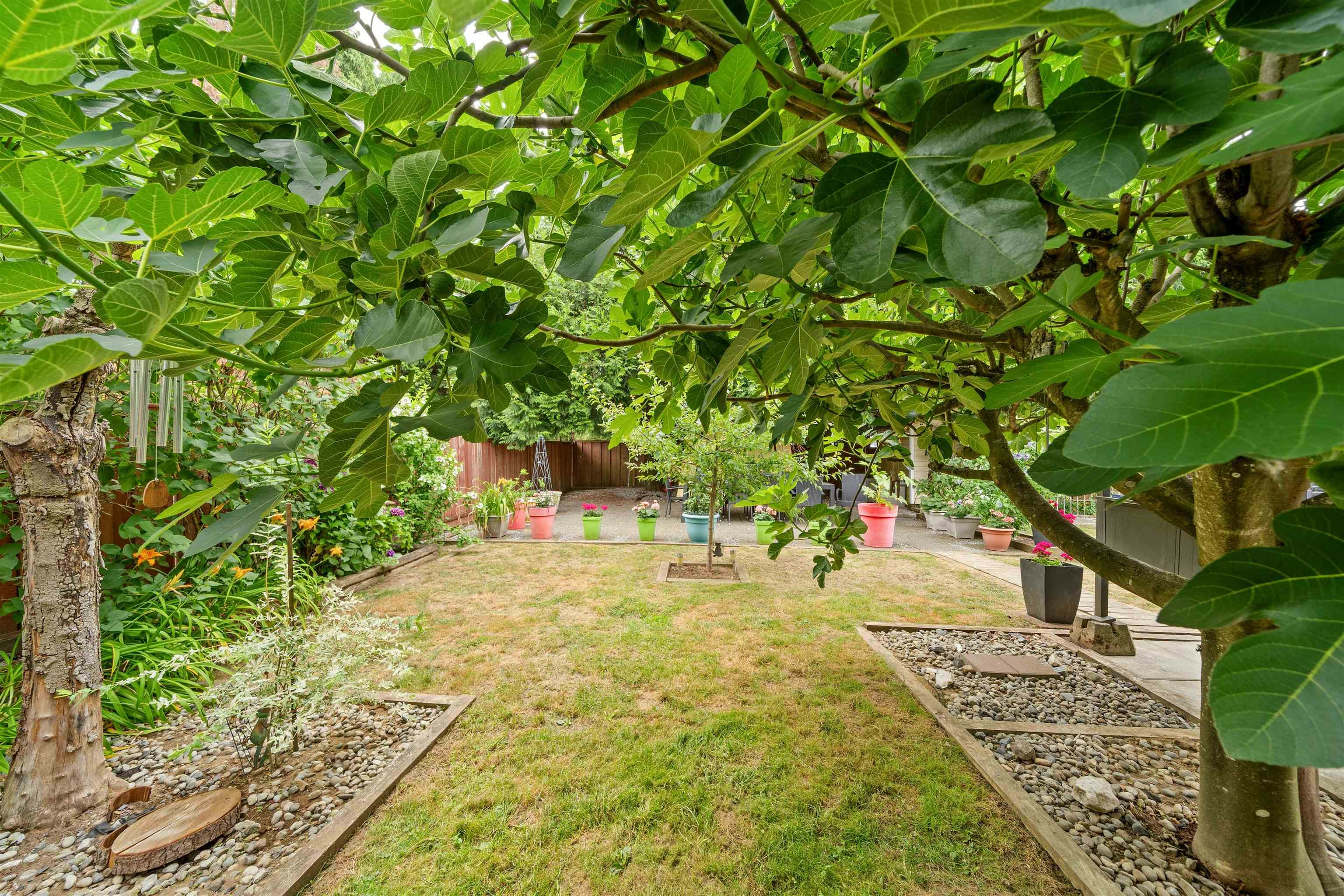 20240 121 Avenue, Maple Ridge, BC, V2X 9P1 - 33