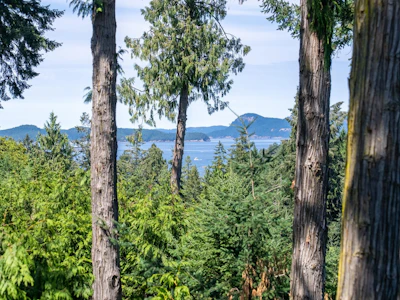 2610 Gunwhale Road - 4