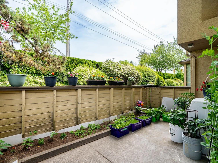 21-12172 72 Avenue, Surrey, BC, V3W 2L9 - 30