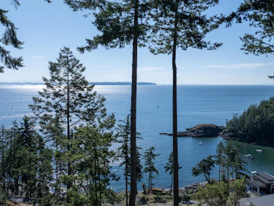 747 Seymour Bay Drive - 2