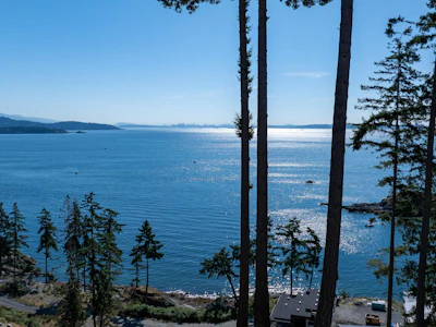 775 Seymour Bay Drive - 3