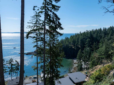 775 Seymour Bay Drive - 4