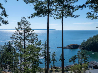 775 Seymour Bay Drive - 5