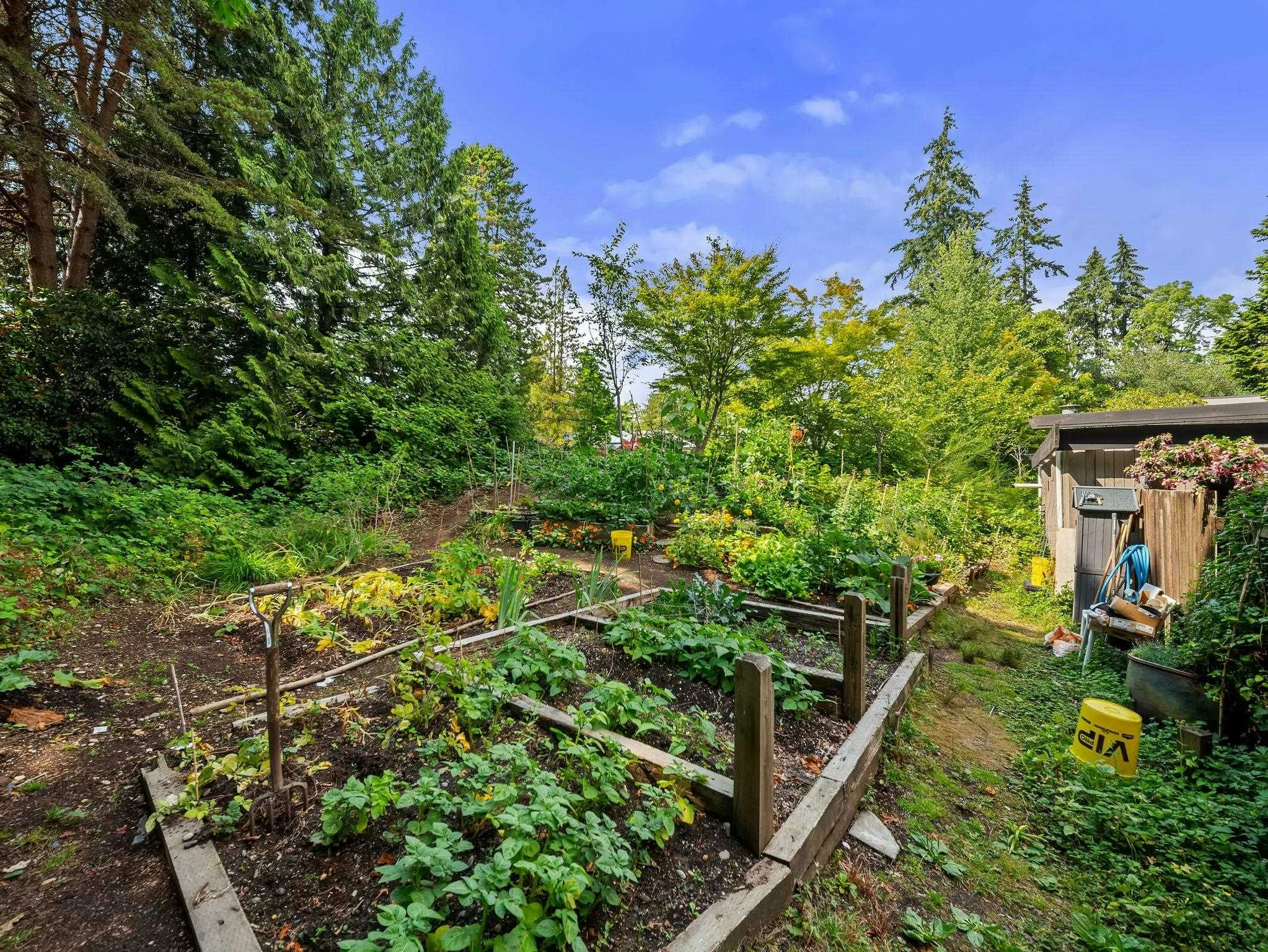 106-4900 Cartier Street, Vancouver, BC, V6M 4H2 - 33