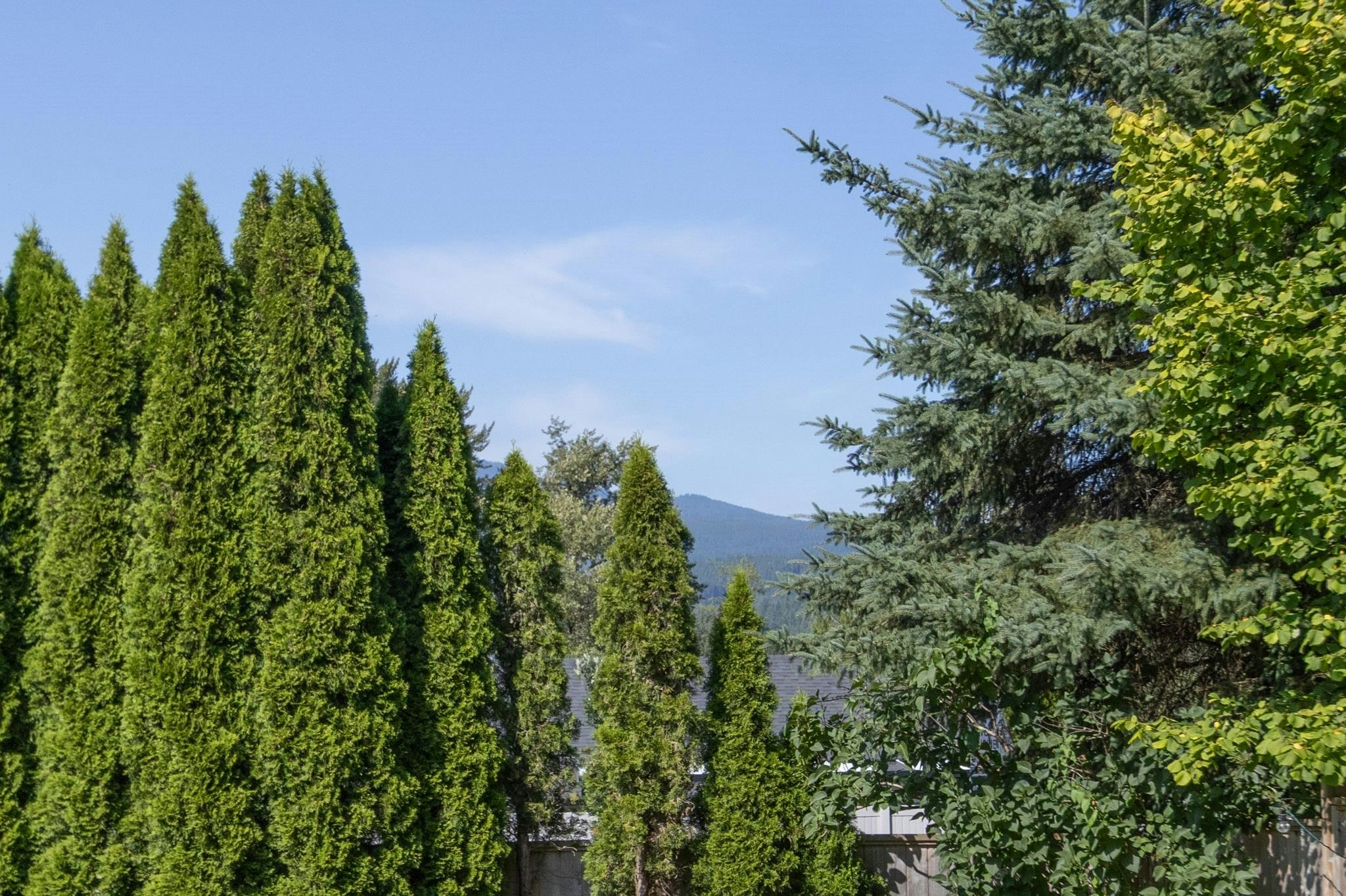 22531 Kendrick Loop, Maple Ridge, BC, V2X 9W5 - 23