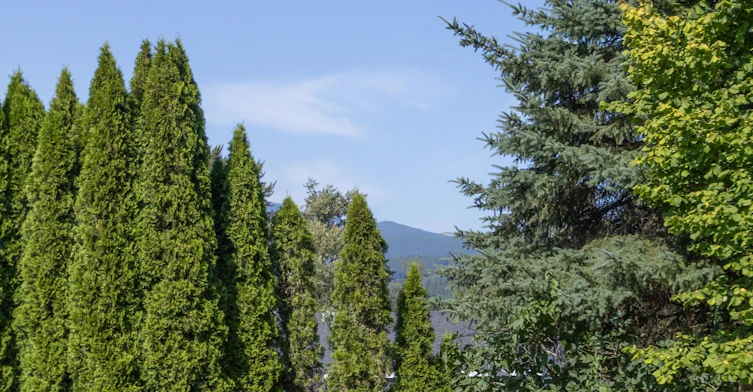 22531 Kendrick Loop, Maple Ridge, BC, V2X 9W5 - 23