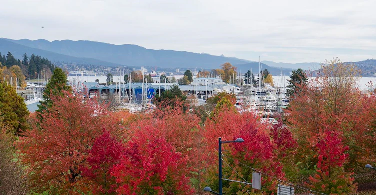501-1925 Alberni Street, Vancouver, BC, V6G 0A3 - 22