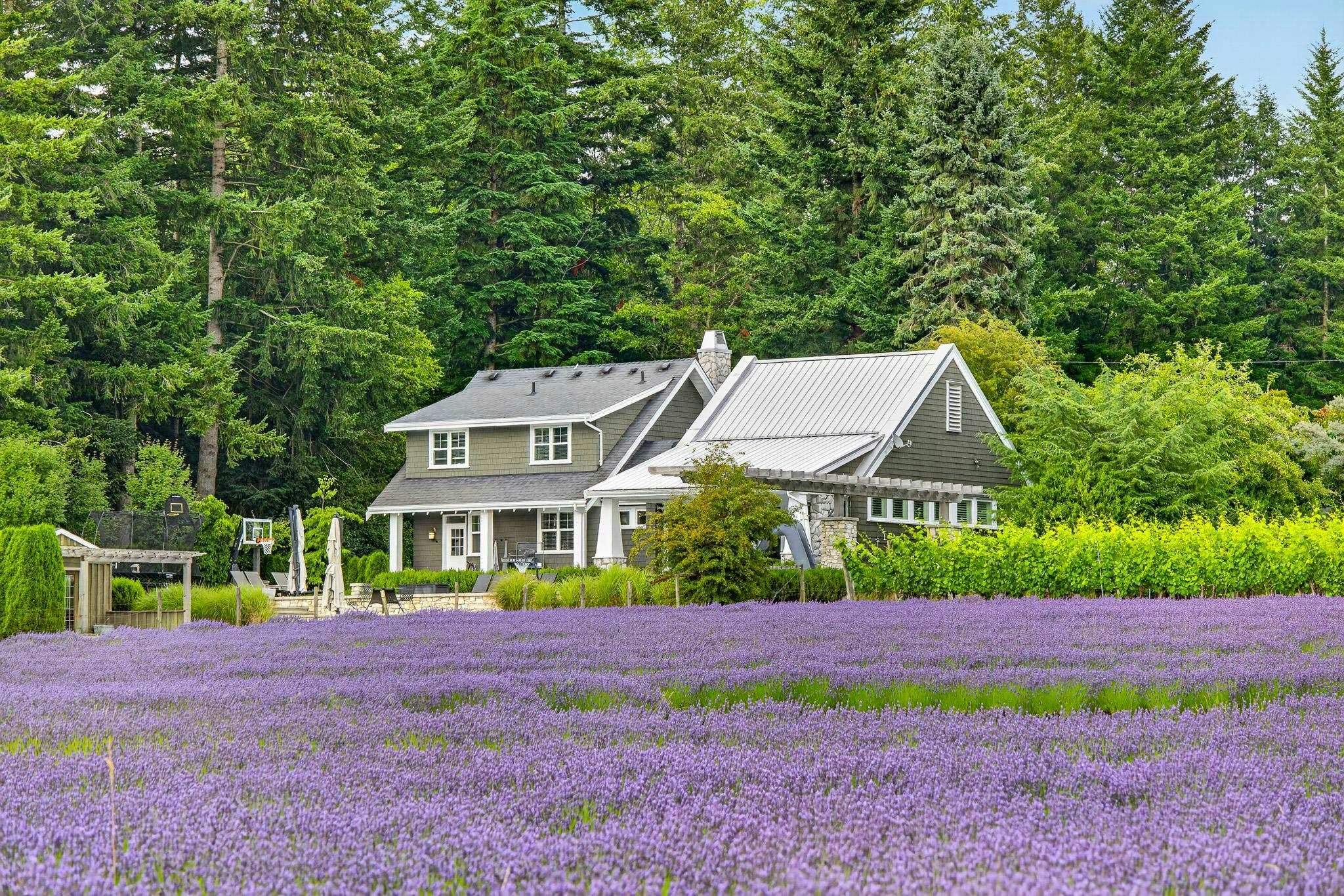 231 Columbia Valley Road, Columbia Valley, BC, V2R 4X6 - 33