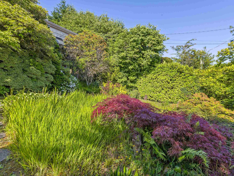 2575 Queens Avenue, West Vancouver, BC, V7V 2Y9 - 35
