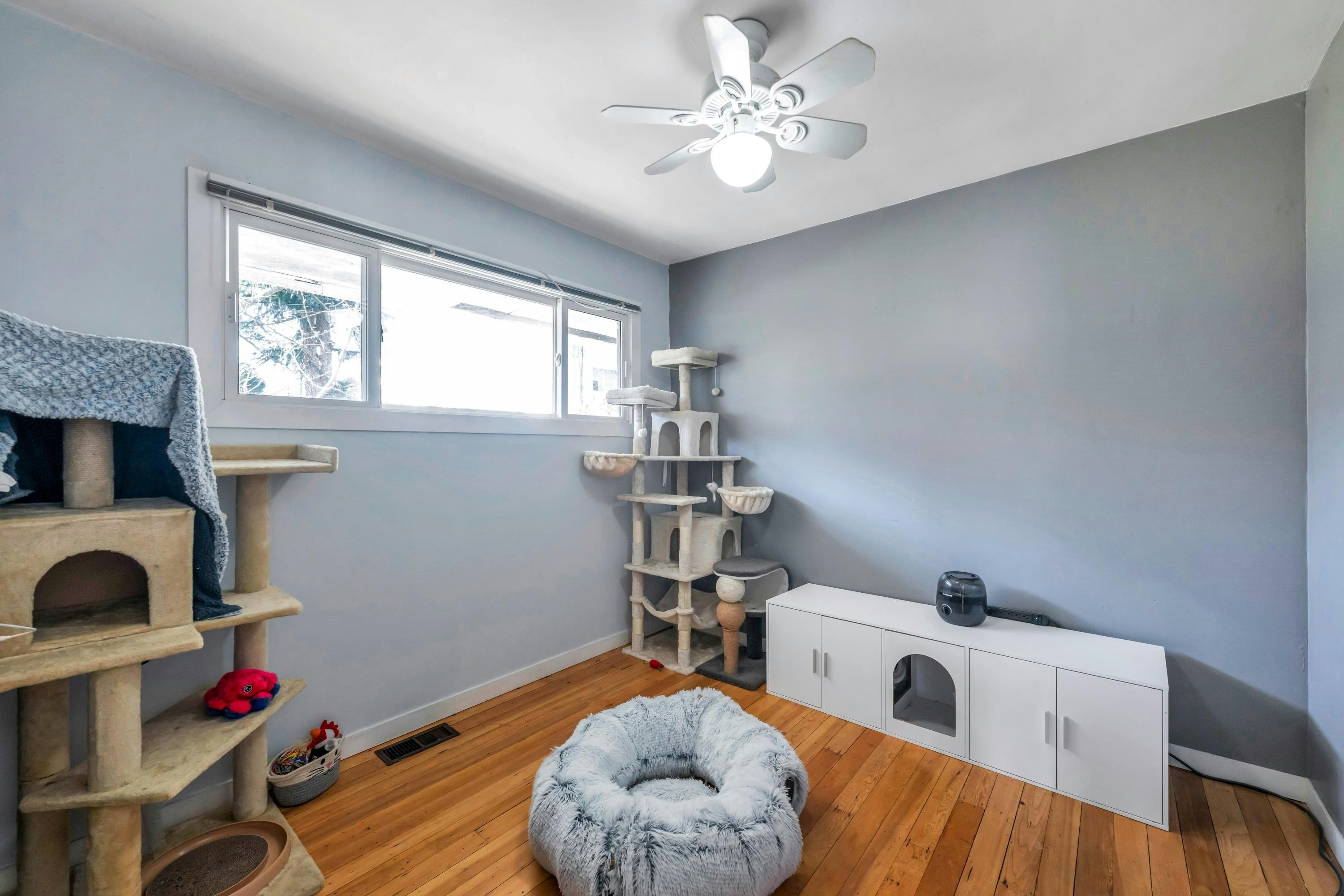 33721 Morey Avenue, Abbotsford, BC, V0G 2E0 - 19