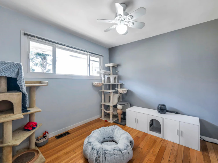 33721 Morey Avenue, Abbotsford, BC, V0G 2E0 - 19
