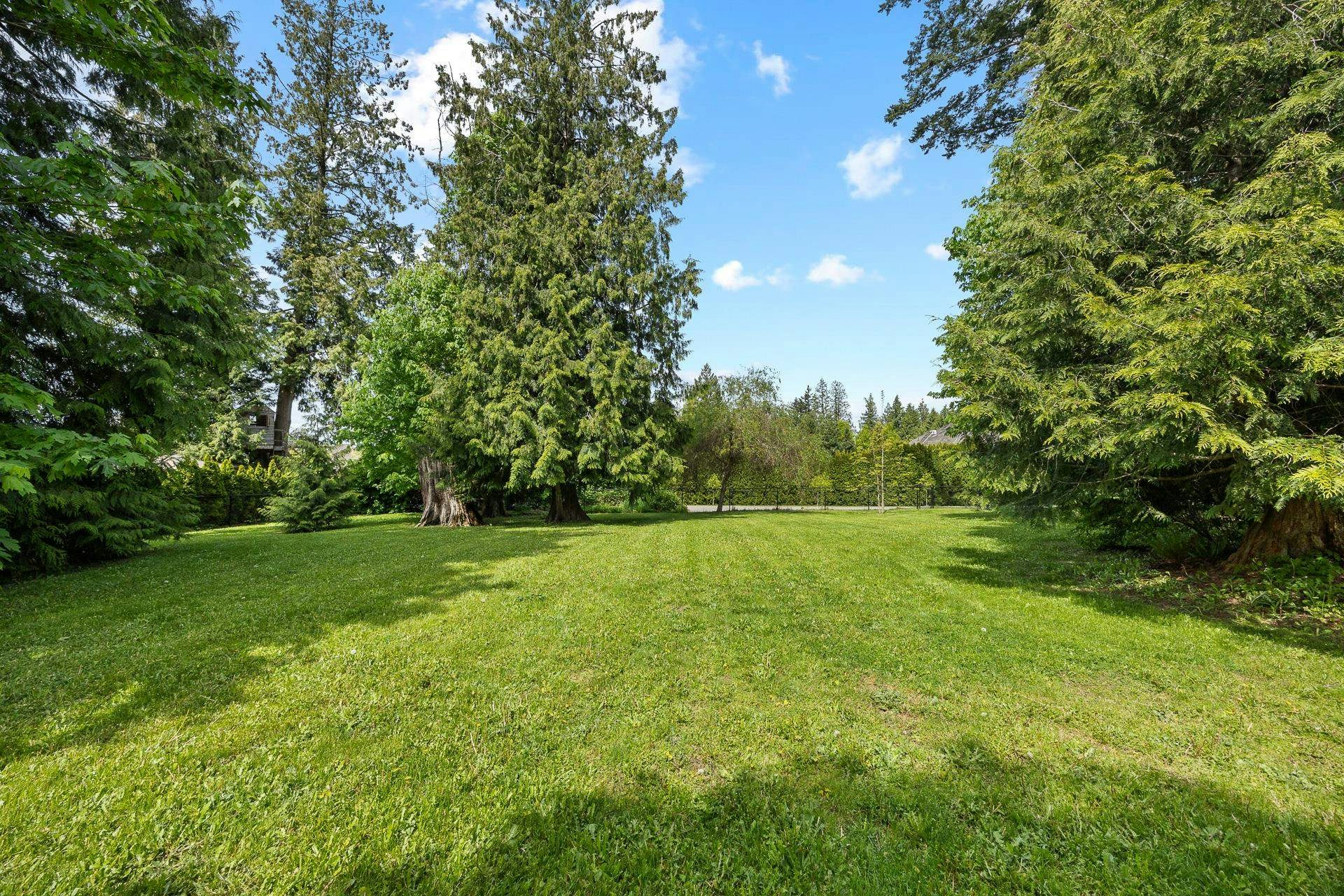 16211 29 Avenue, Surrey, BC, V3Z 9X4 - 36