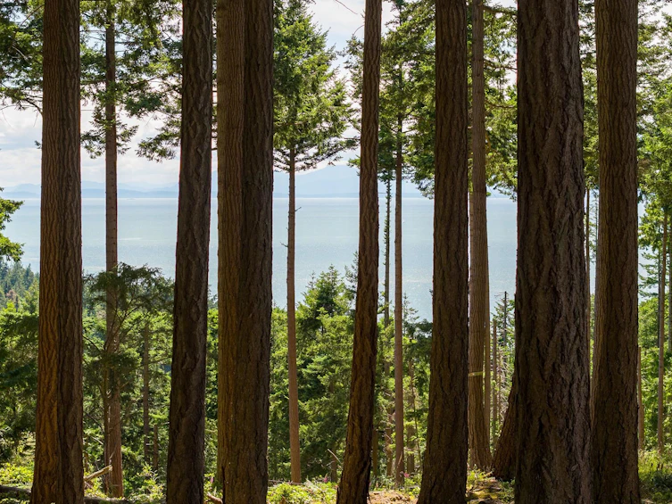 Lot 8 Hayes Road, Bowen Island, BC, V0N 1G2 - 3