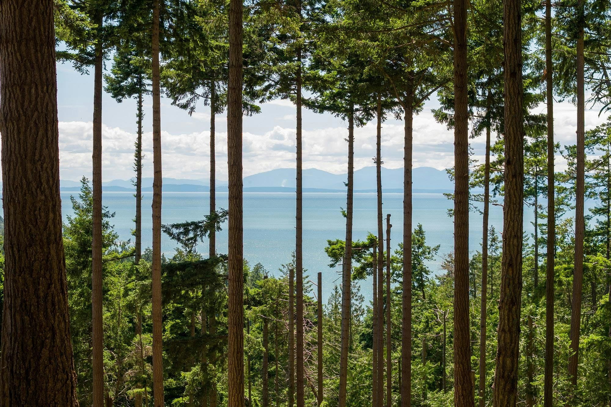 Lot 8 Hayes Road, Bowen Island, BC, V0N 1G2 - 13