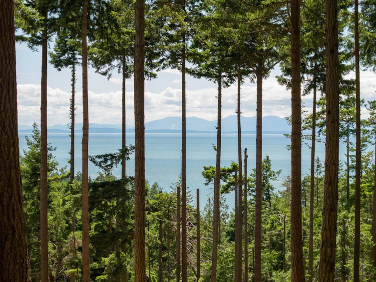 Lot 8 Hayes Road, Bowen Island, BC, V0N 1G2 - 13