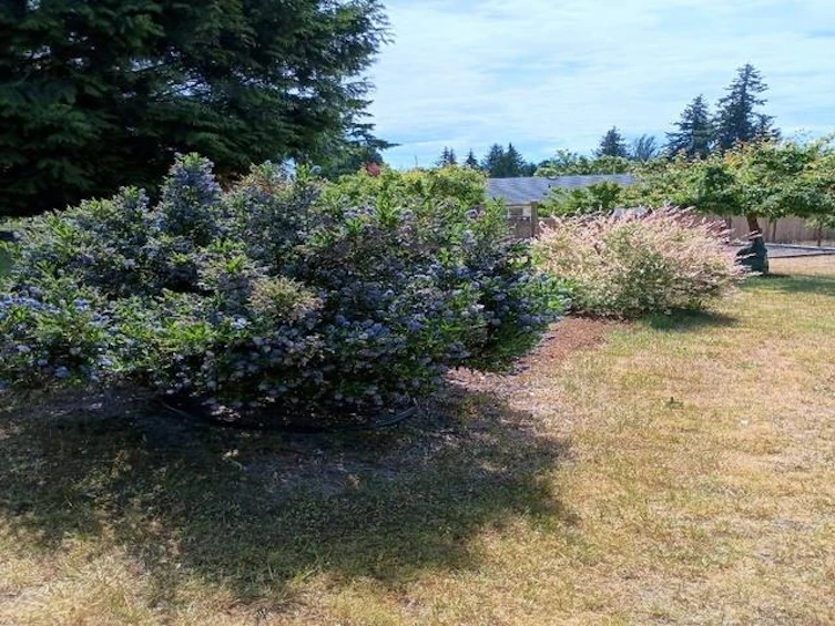 6365 Homestead Avenue, Sechelt, BC, V7Z 0M7 - 34