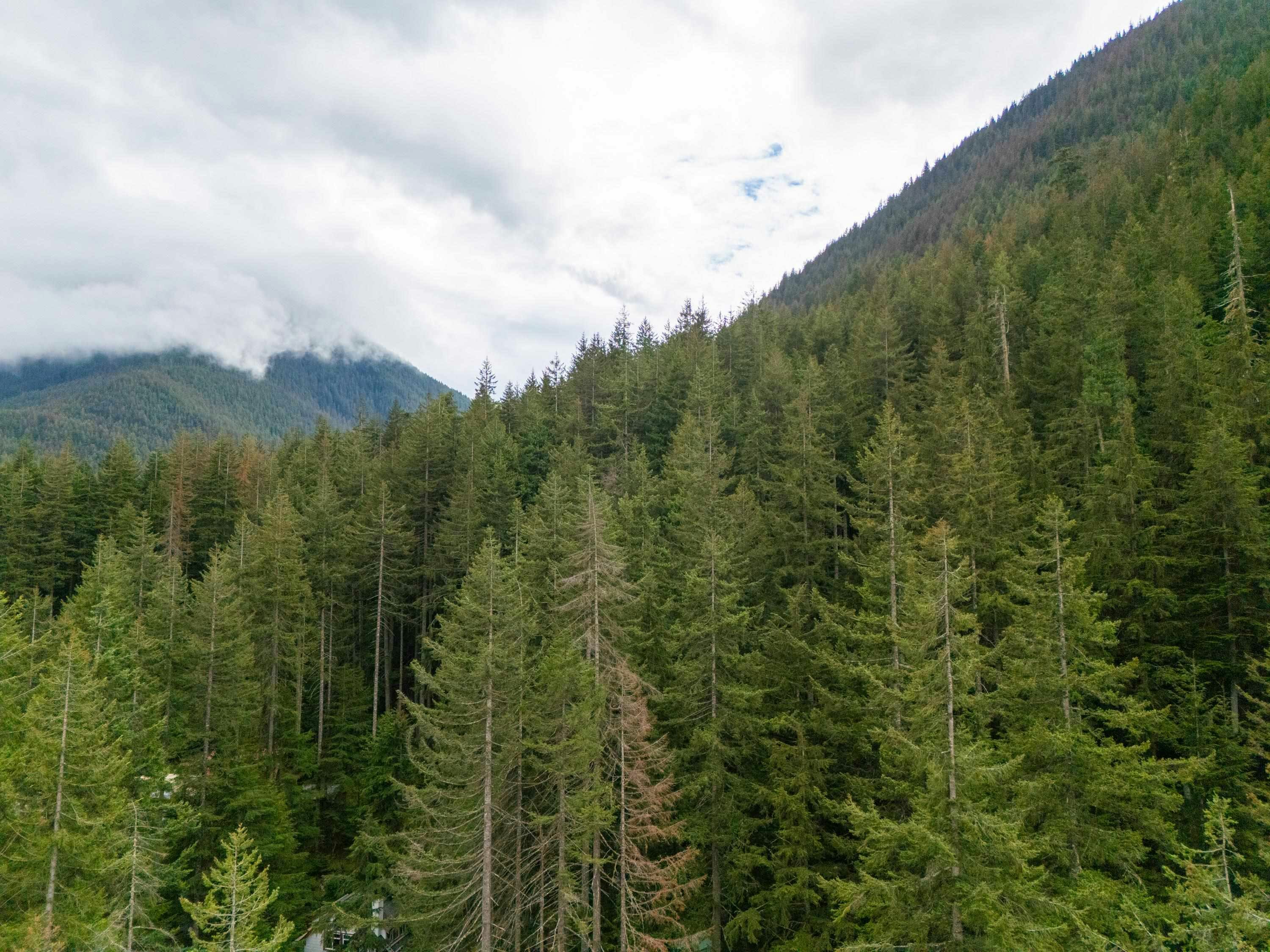 15011 Root Roundabout Road, Hope, BC, V0X 1L5 - 34