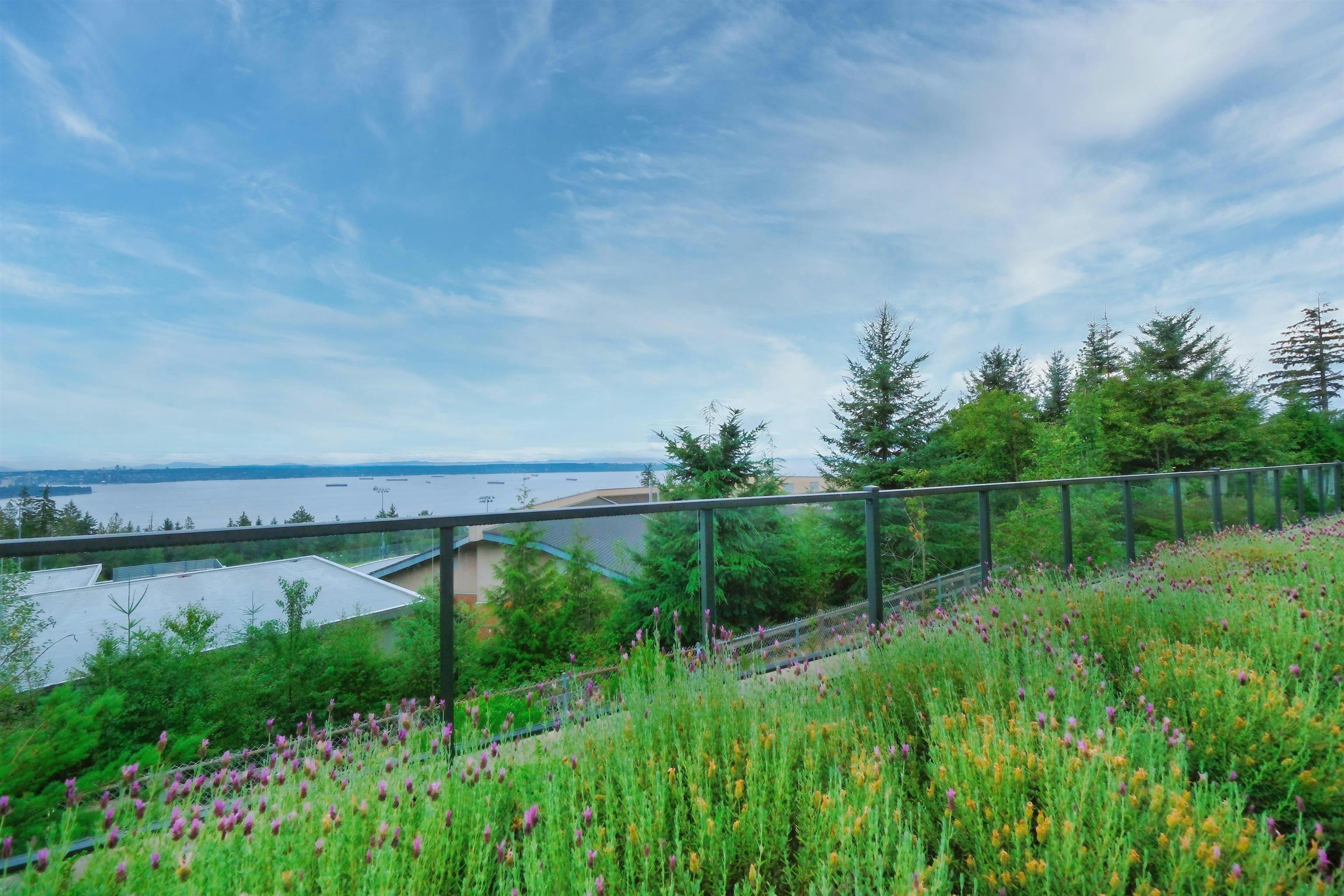 BASEMENT-2836 Rodgers Creek Lane, West Vancouver, BC, V7S 0A7 - 6