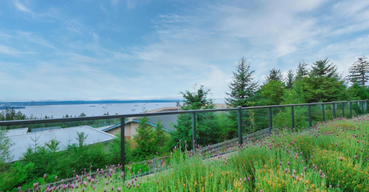 BASEMENT-2836 Rodgers Creek Lane, West Vancouver, BC, V7S 0A7 - 6