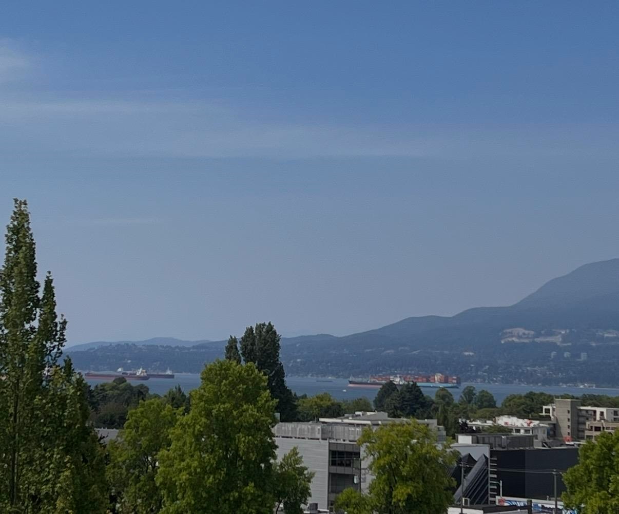 701-2288 Pine Street, Vancouver, BC, V6J 5G4 - 39