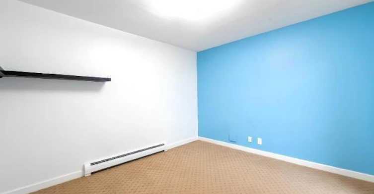 Basement-384 Blue Mountain Street, Coquitlam, BC, V3K 4J8 - 9