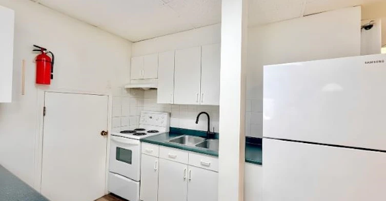 Basement-384 Blue Mountain Street, Coquitlam, BC, V3K 4J8 - 3