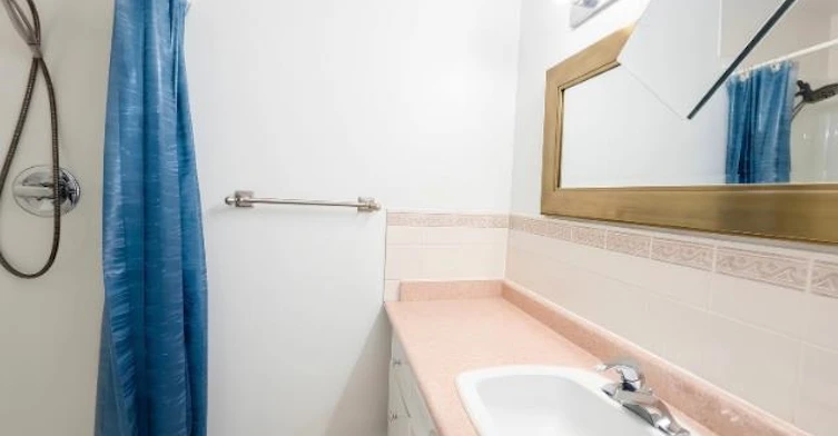 Basement-384 Blue Mountain Street, Coquitlam, BC, V3K 4J8 - 11