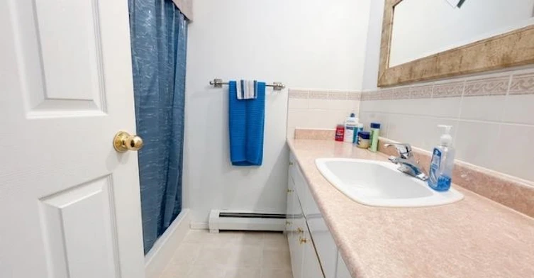 Basement-384 Blue Mountain Street, Coquitlam, BC, V3K 4J8 - 5