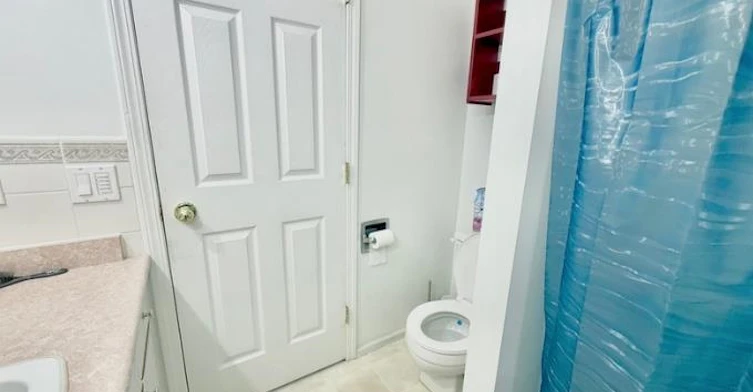 Basement-384 Blue Mountain Street, Coquitlam, BC, V3K 4J8 - 13