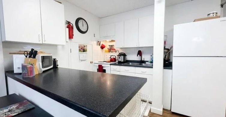 Basement-384 Blue Mountain Street, Coquitlam, BC, V3K 4J8 - 12