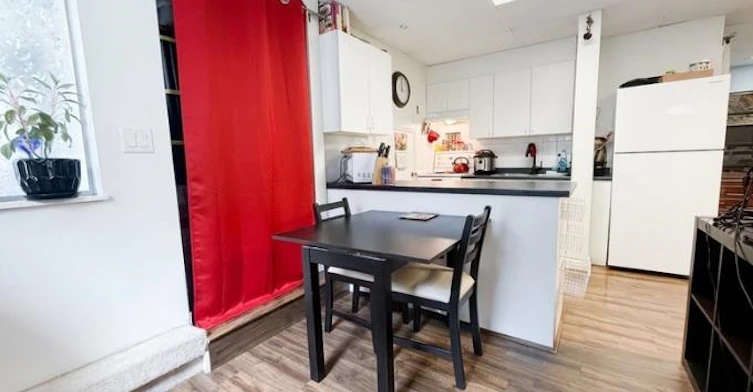 Basement-384 Blue Mountain Street, Coquitlam, BC, V3K 4J8 - 7
