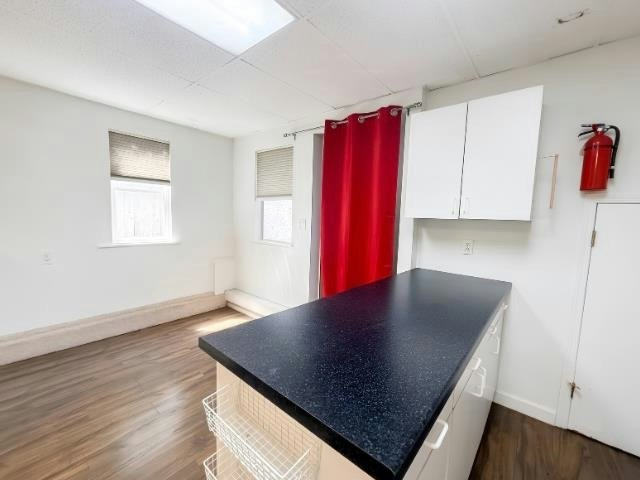 Basement-384 Blue Mountain Street, Coquitlam, BC, V3K 4J8 - 4