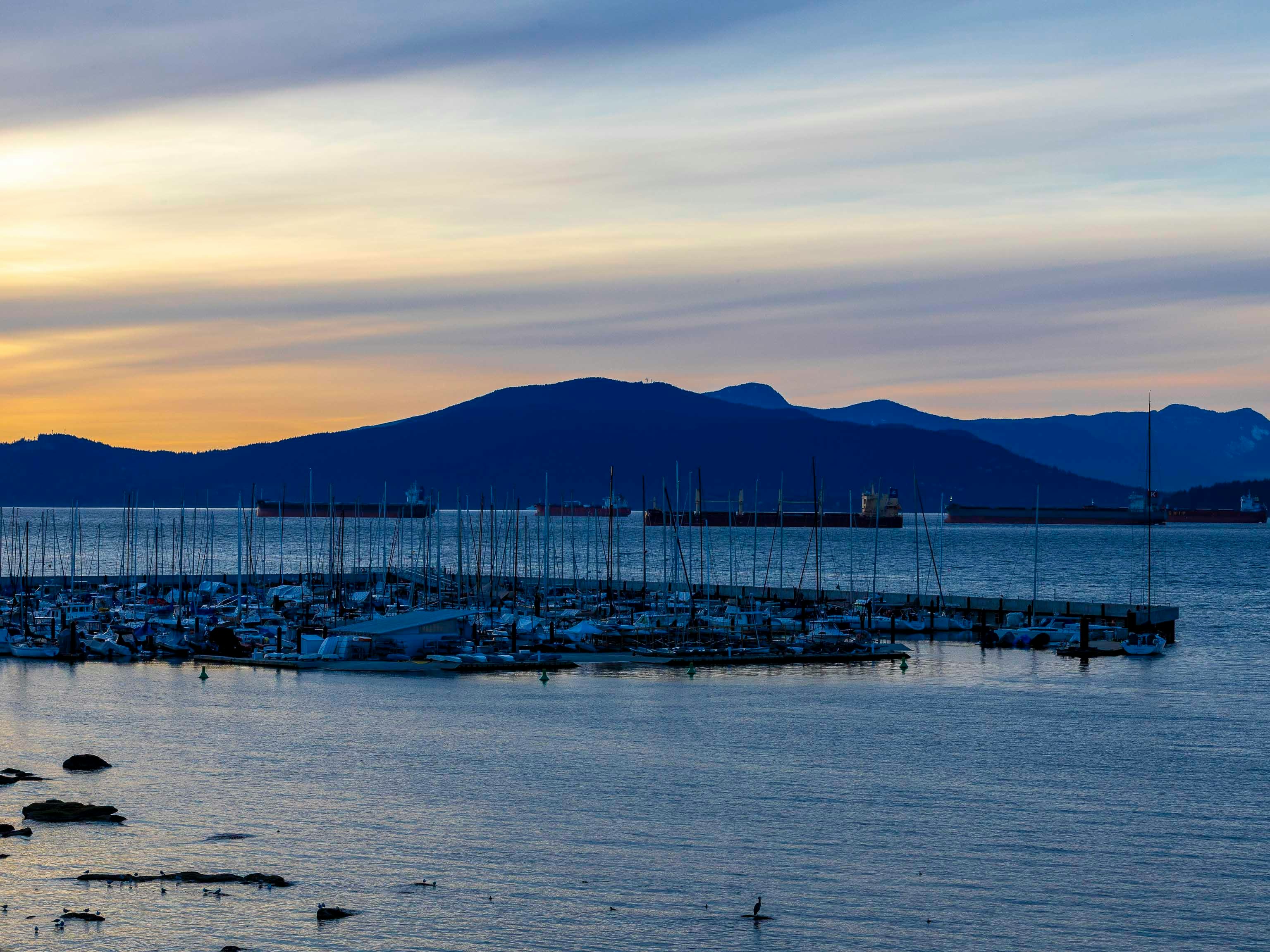 3513 Point Grey Road, Vancouver, BC, V6R 1A7 - 37