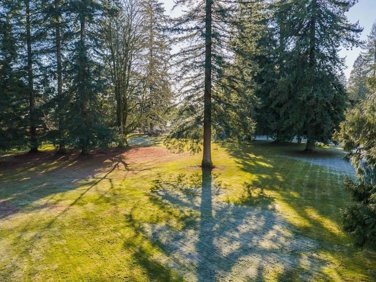26267 64 Avenue, Langley, BC, V4W 1M3 - 37